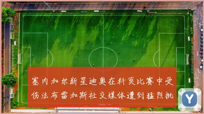 塞内加尔新星迪奥在科莫比赛中受伤法布雷加斯社交媒体遭到猛烈批评