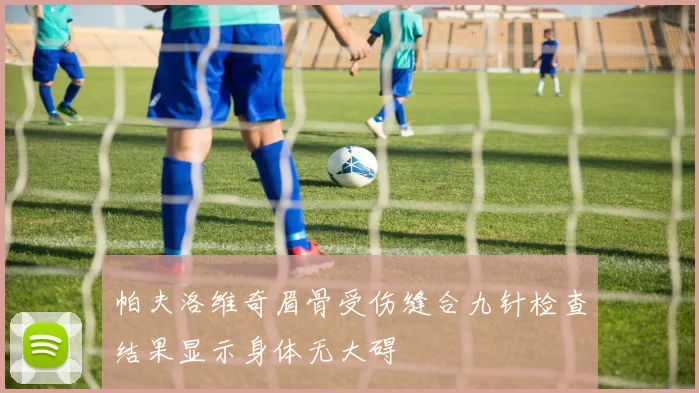 帕夫洛维奇眉骨受伤缝合九针检查结果显示身体无大碍